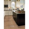 Msi Giallo Fantasia 12 In. X 12 In. Polished Granite Floor And Wall Tile, 5PK ZOR-NS-0070